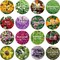 100% Natural Dried Flowers Herbs Kit for Soap Making 15g/Bag Dried Flowers